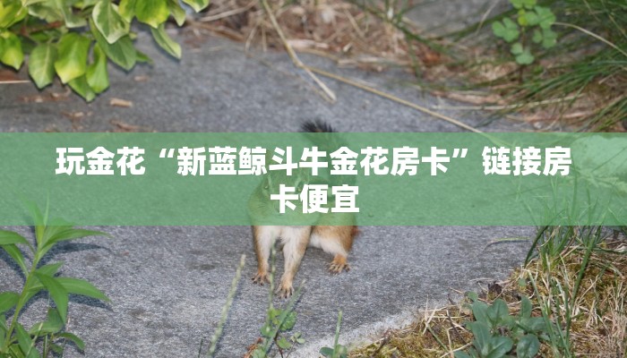 玩家
必看“炸金花房卡如何获取”详细房卡使用