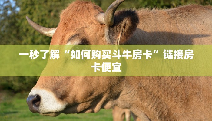 一分钟了解“美猴王大厅牛牛房卡”链接房卡那里有