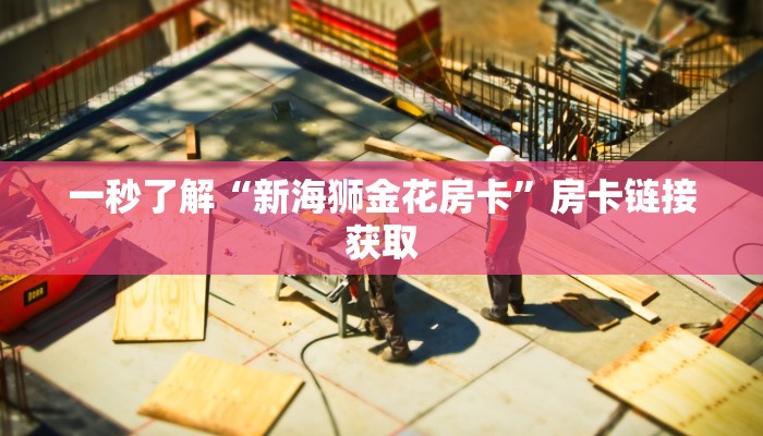 一秒了解“新海狮金花房卡”房卡链接获取