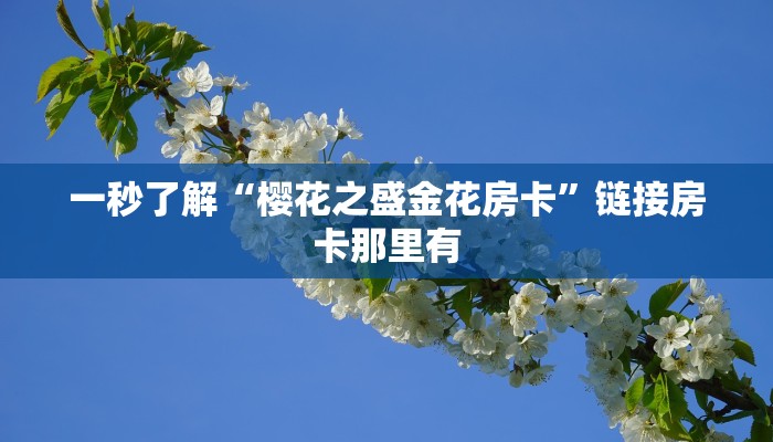 一秒了解“樱花之盛金花房卡”链接房卡那里有