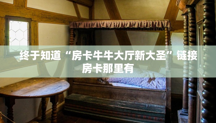 终于知道“房卡牛牛大厅新大圣”链接房卡那里有
