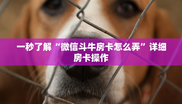 一秒了解“微信斗牛房卡怎么弄”详细房卡操作