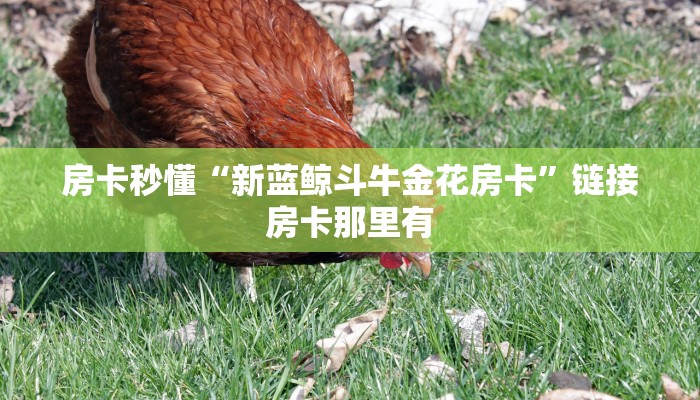 房卡秒懂“新蓝鲸斗牛金花房卡”链接房卡那里有