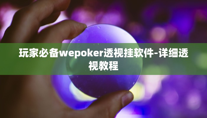 玩家必备wepoker透视挂软件-详细透视教程