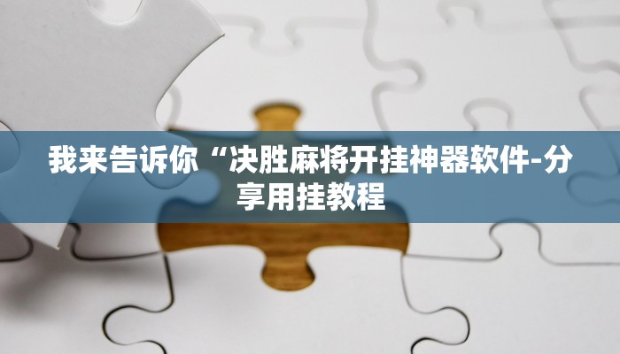 辅助神器wepoker作弊辅助(透视)详细教程