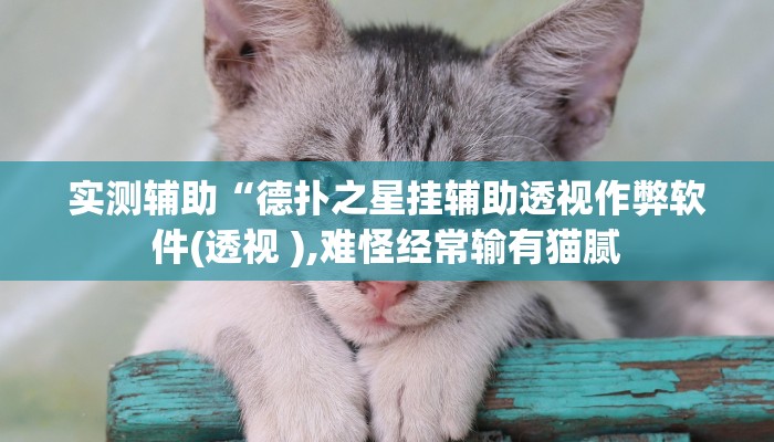 实测辅助“德扑之星挂辅助透视作弊软件(透视 ),难怪经常输有猫腻