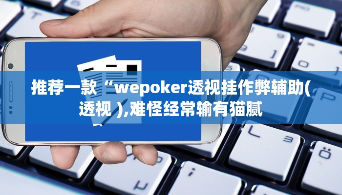 辅助神器wepoker确实有挂(透视)详细教程
