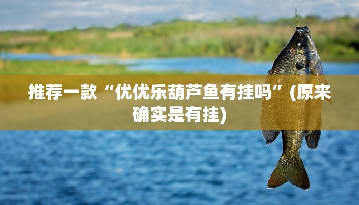 推荐一款“优优乐葫芦鱼有挂吗”(原来确实是有挂)