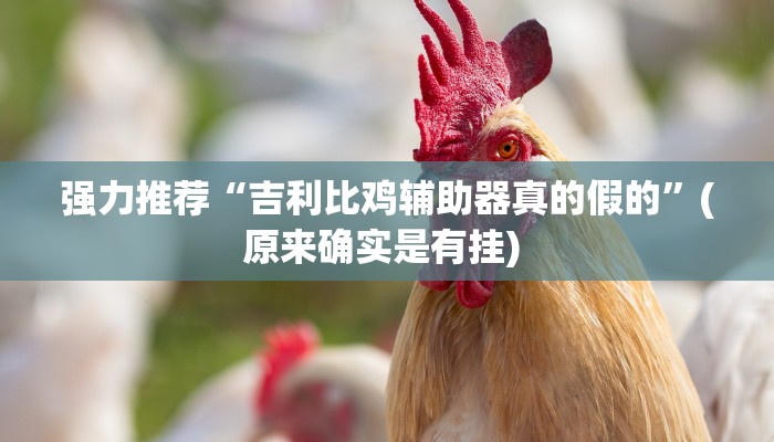 强力推荐“吉利比鸡辅助器真的假的”(原来确实是有挂) 