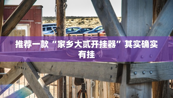 推荐一款“家乡大贰开挂器”其实确实有挂