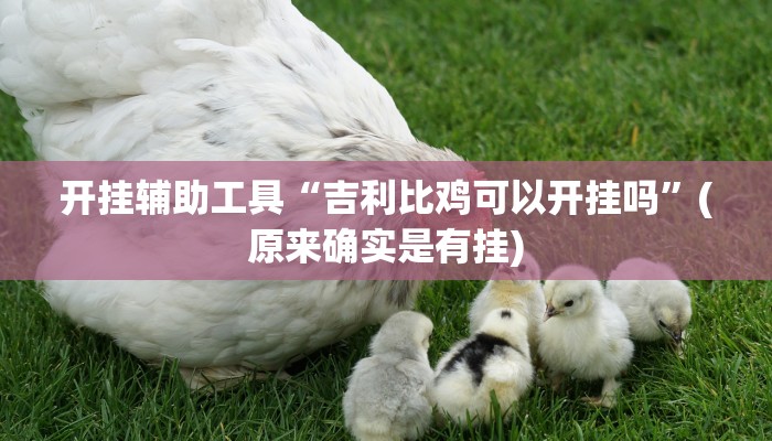 开挂辅助工具“吉利比鸡可以开挂吗”(原来确实是有挂)