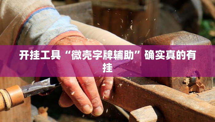 原来才知道wepoker透视挂下载(透视)功能”学会包赢