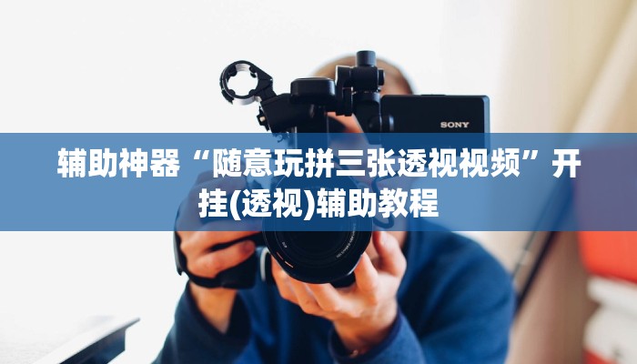辅助神器“随意玩拼三张透视视频”开挂(透视)辅助教程