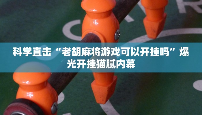 科学直击“老胡麻将游戏可以开挂吗”爆光开挂猫腻内幕