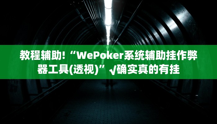 使用分享wepoker透视挂真的吗(详细开挂教程