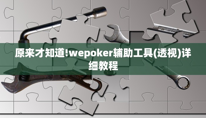 辅助神器wepoker透视辅助软件下载 (详细开挂教程