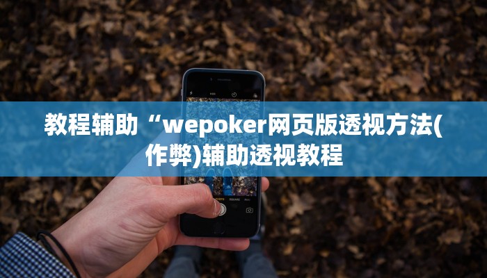 教程辅助“wepoker网页版透视方法(作弊)辅助透视教程