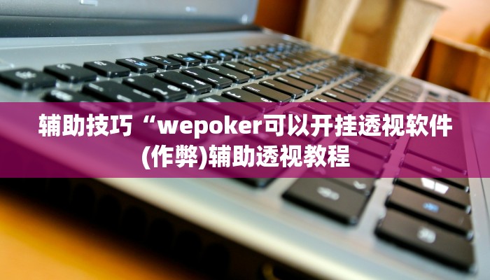 辅助神器wepoker私人局透视软件(原来真的能开挂)