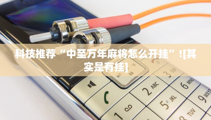 使用分享wepoker辅助器透视挂(透视)详细教程
