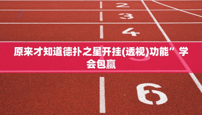实测辅助德扑之星透视看牌仪器详细开挂教程