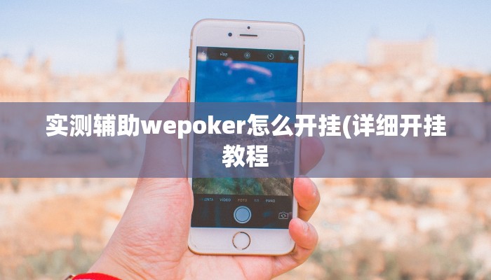 -分钟科普wepoker软件辅助挂(作弊)”附开挂脚本详细教学