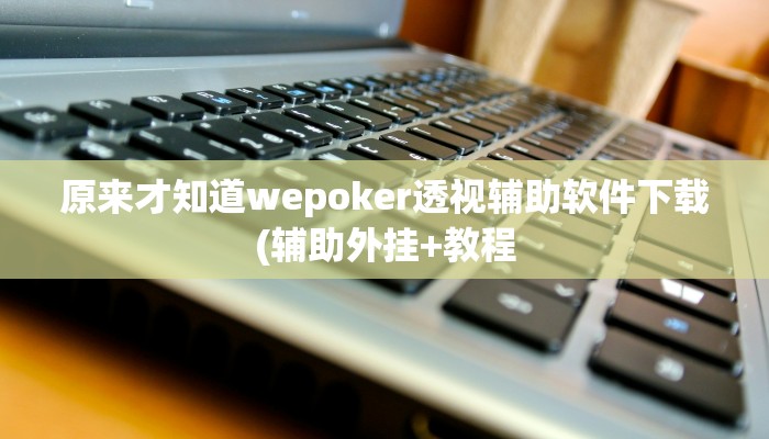 实测辅助wepoker辅助透视挂(作弊)”附开挂脚本详细教学