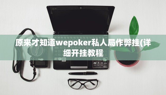-分钟科普 德扑之星透视作弊挂方法(详细开挂教程
