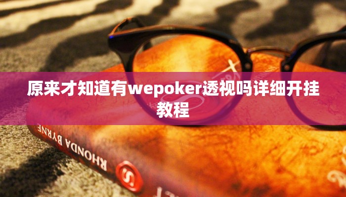 实测辅助wepoker透视挂真的假的(详细开挂教程