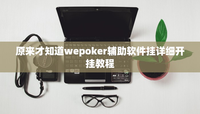原来才知道WePoKer开挂透视辅助详细教程(辅助外挂+教程