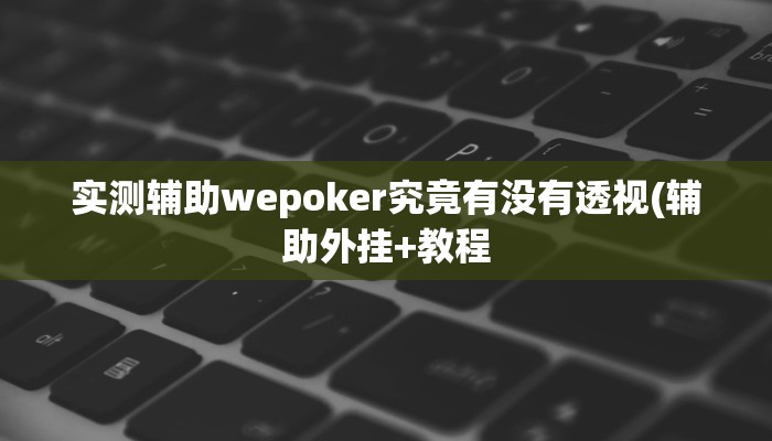 辅助神器wepoker透视挂ios详细开挂教程