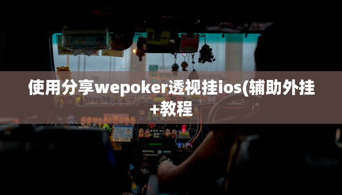 使用分享Wepoker买挂被骗截图详细开挂教程