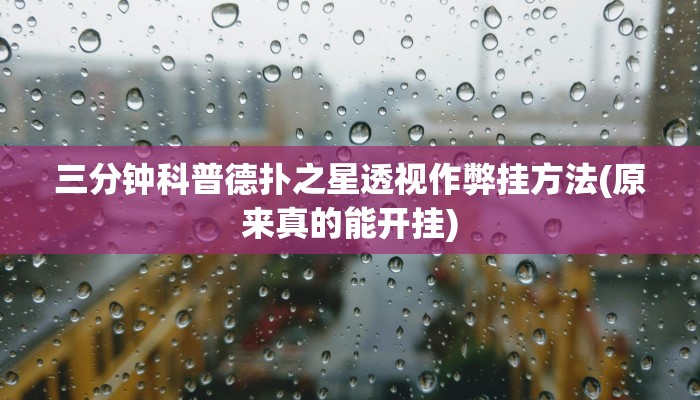 -分钟科普wepoker德州开挂透视软件详细开挂教程