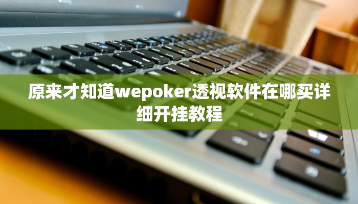 三分钟科普wepoker德州作弊挂透视(详细开挂教程