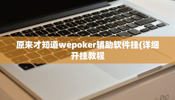 原来才知道wepoker辅助哪里买(辅助外挂+教程