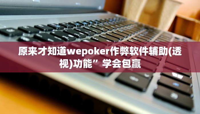 辅助神器wepoKer透视作弊挂(原来真的能开挂)