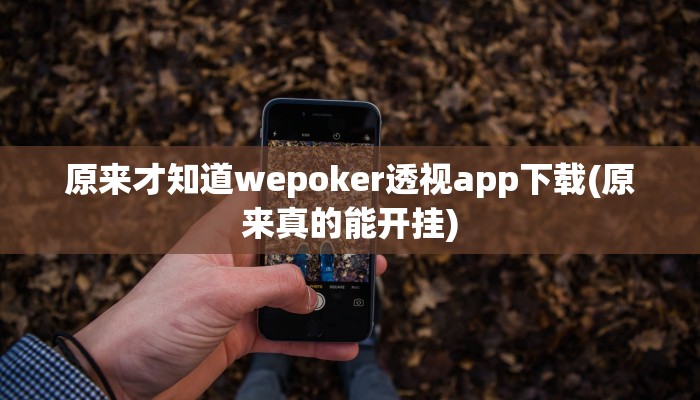 辅助神器德扑之星透视挂(原来真的能开挂)