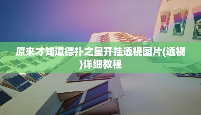 使用分享wepoker开挂辅助软件(透视)详细教程