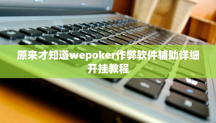 原来才知道wepoker作弊软件辅助详细开挂教程