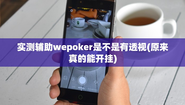 实测辅助wepoker是不是有透视(原来真的能开挂)