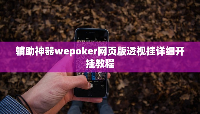 辅助神器wepoker网页版透视挂详细开挂教程