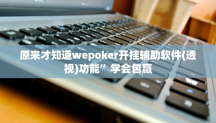 原来才知道wepoker开挂辅助软件(透视)功能”学会包赢