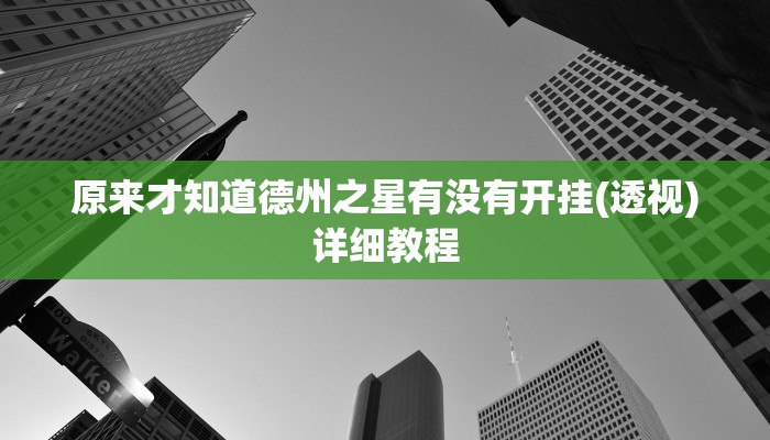 原来才知道德州之星有没有开挂(透视)详细教程