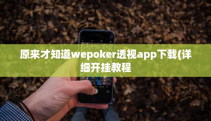 原来才知道wepoker透视app下载(详细开挂教程