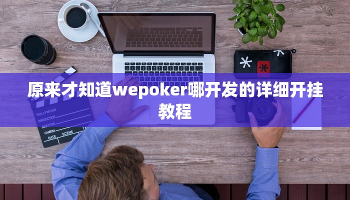 原来才知道wepoker哪开发的详细开挂教程