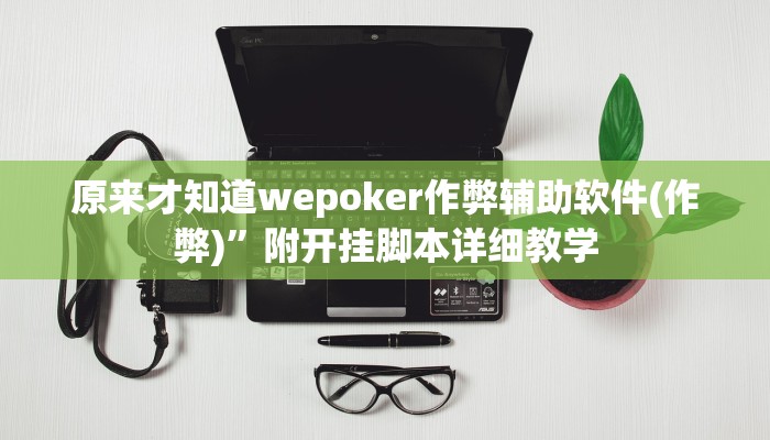 原来才知道wepoker作弊辅助软件(作弊)”附开挂脚本详细教学